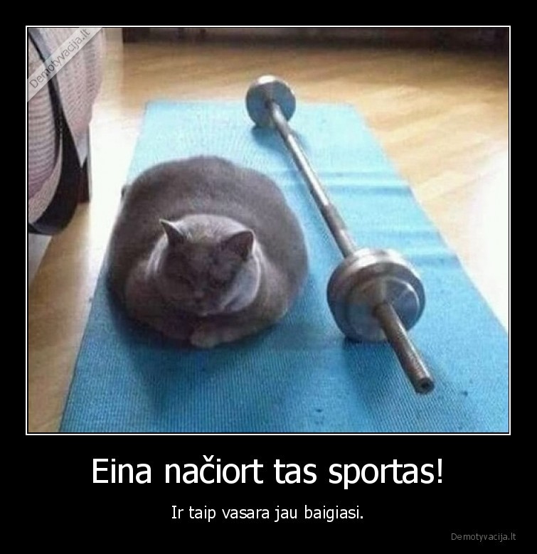 sportas,vasara,katinas,stanga