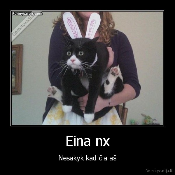 Eina nx