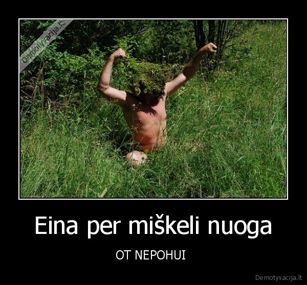 einam,gaudyti,drugeliu