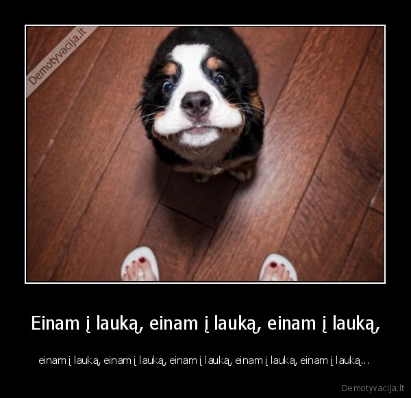 Einam į lauką, einam į lauką, einam į lauką,