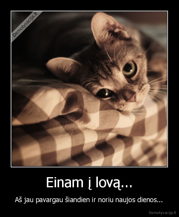 Einam į lovą...