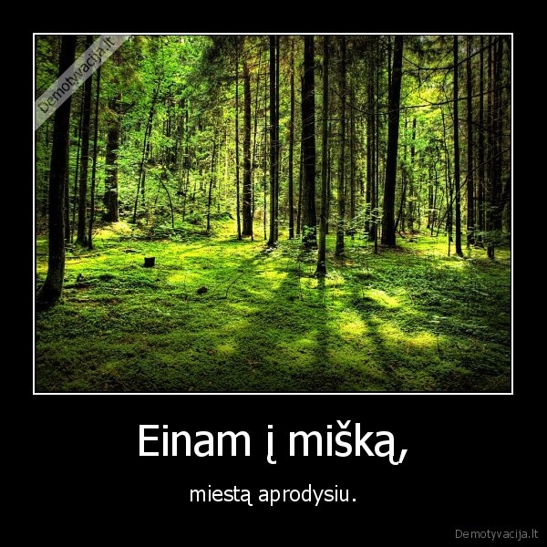 Einam į mišką,