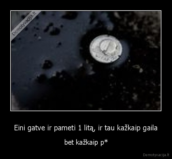 lita, pameti, gaila, biski,bet, ir, poxui