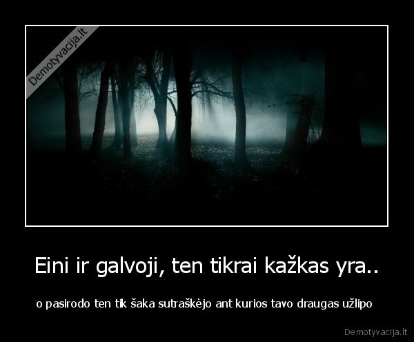 Eini ir galvoji, ten tikrai kažkas yra..