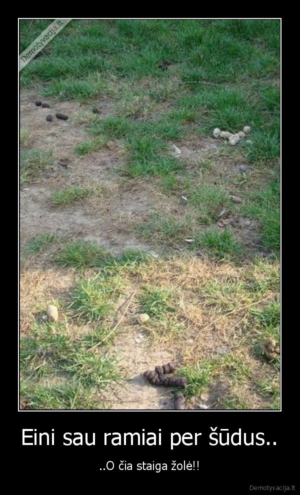 Eini sau ramiai per šūdus..