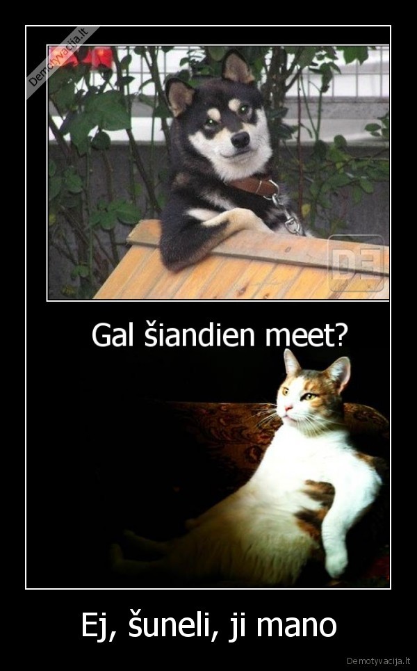 Ej, šuneli, ji mano