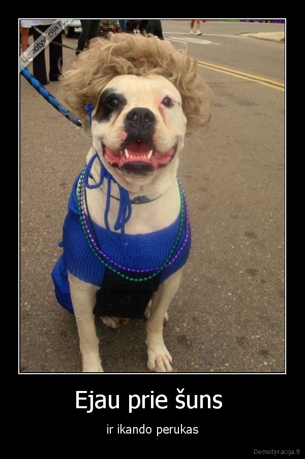 Ejau prie šuns 