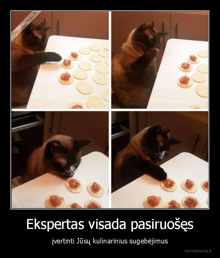 katinai,kates,gaminimas,maistas,kulinarija