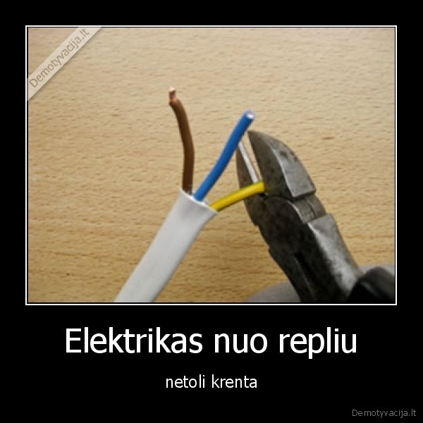 elektrikui,tikros,reples
