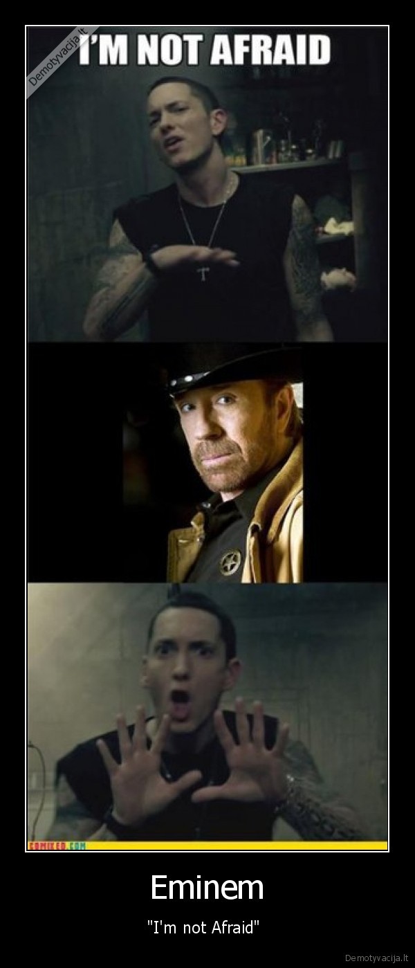 eminem,chuck, norris