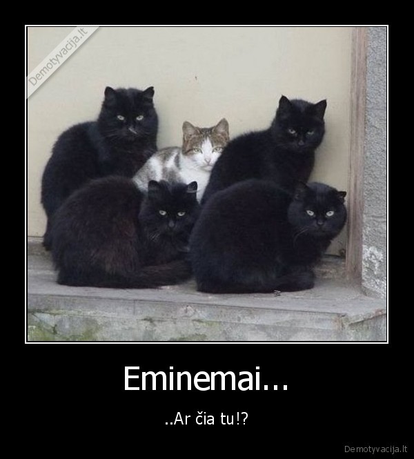 Eminemai...