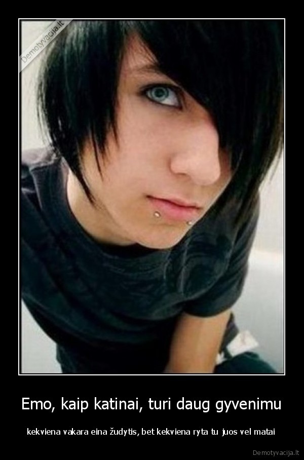 Emo, kaip katinai, turi daug gyvenimu