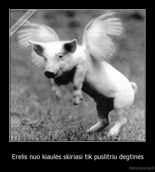 Erelis nuo kiaulės skiriasi tik puslitriu degtinės