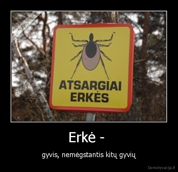 erke,zole,durna, ta, erke