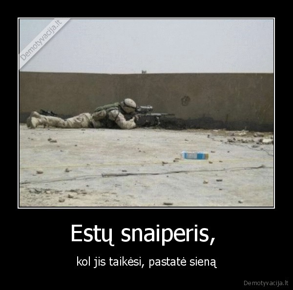 estu, snaiperis,kol, taikesi,pastate, siena