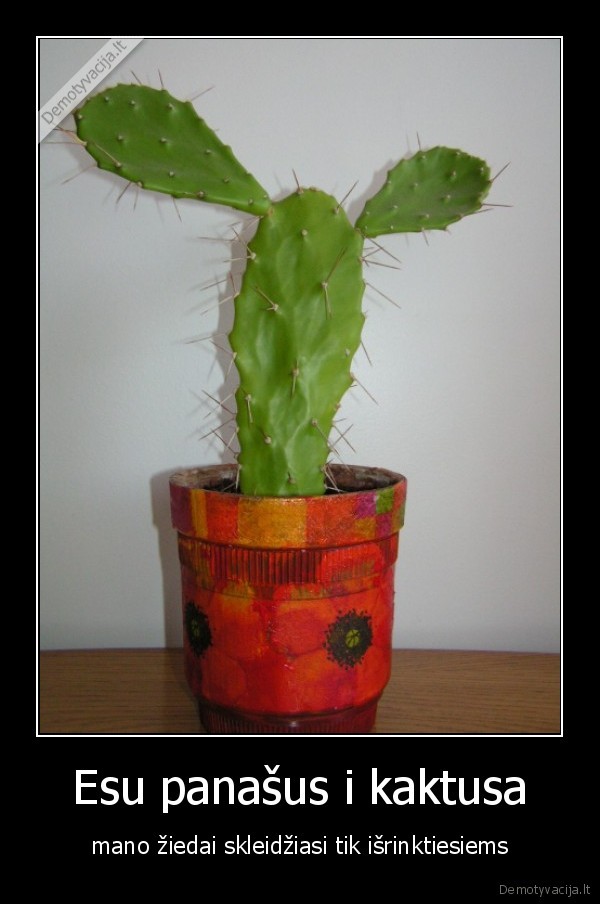 Esu panašus i kaktusa