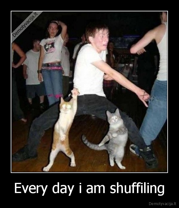 Every day i am shuffiling