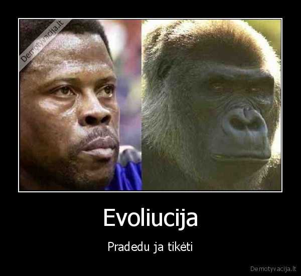evoliucija,tikejimas,bezdzione
