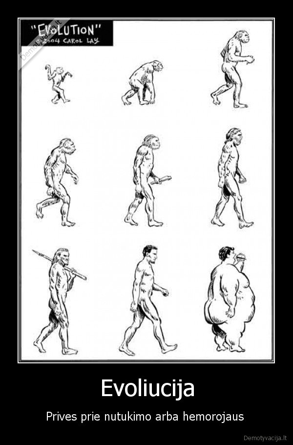 evoliucija, mcdonald, pc, nolife, hemorojus