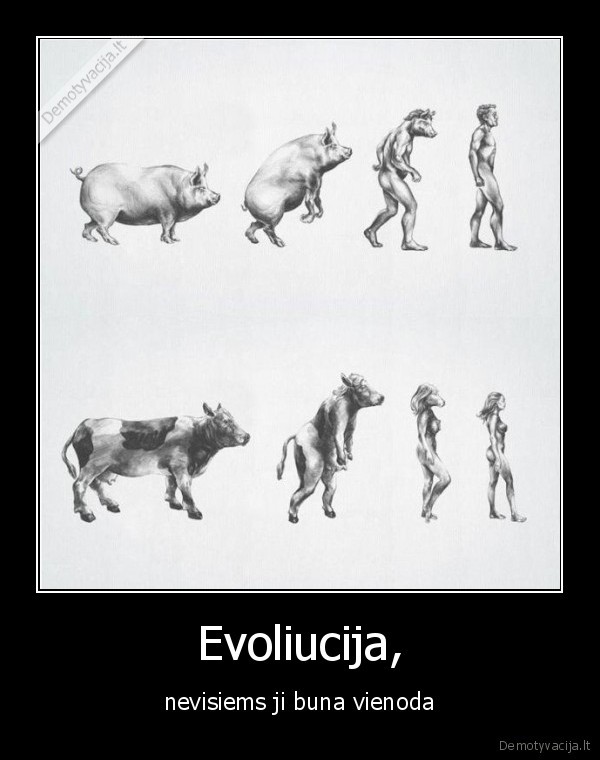 Evoliucija,