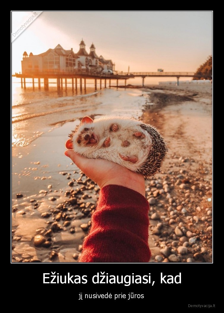 jura,eziukas,dziaugiasi