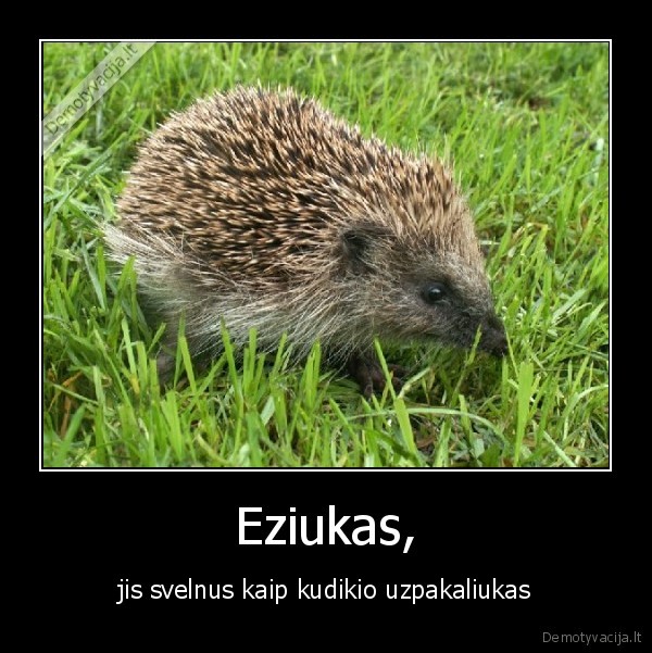 Eziukas,