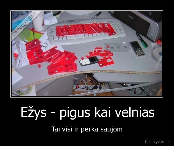 Ežys - pigus kai velnias