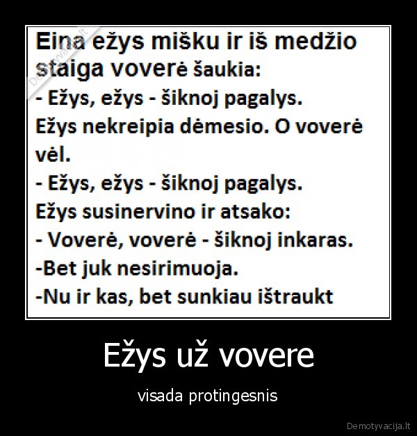 ezys, uz, vovere, protingesnis