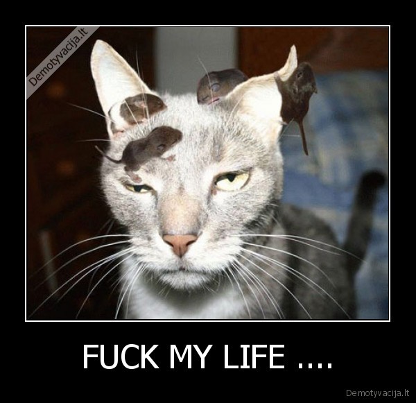 FUCK MY LIFE ....