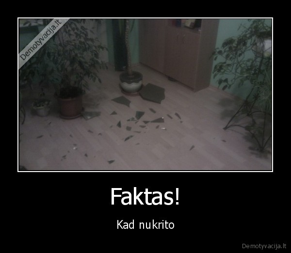Faktas!