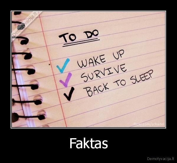 Faktas