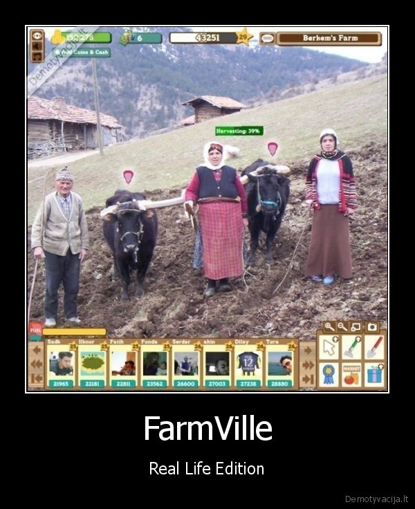 farm, ville, real, life, edition