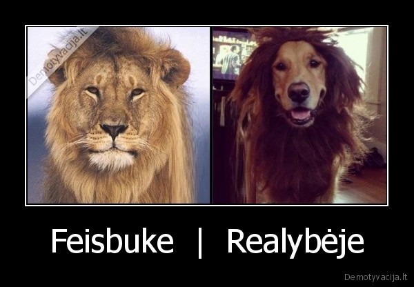 feisbukas,realybe,skirtumas