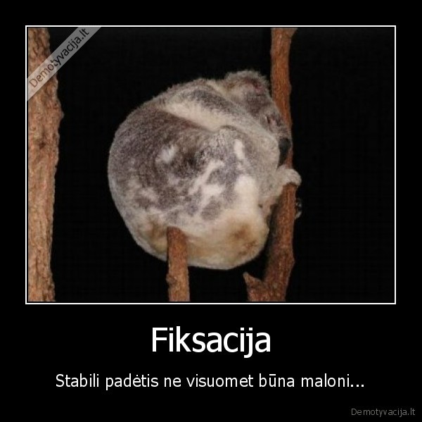 Fiksacija