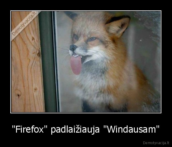 firefox, liko, sudas