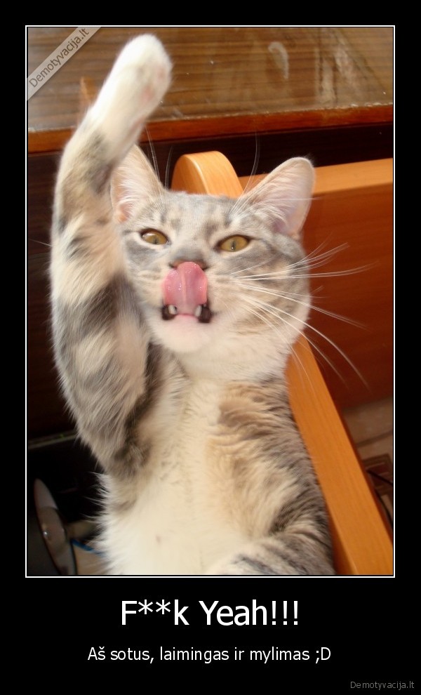 fk, yeah, miau, dd
