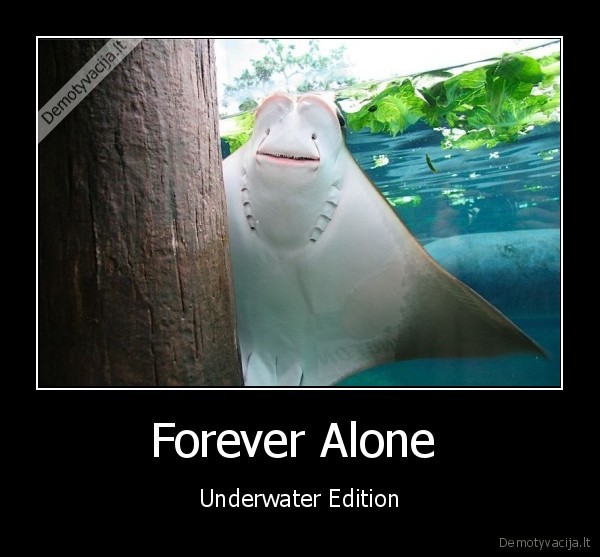 Forever Alone 