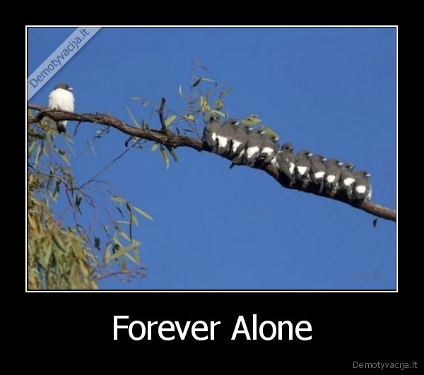 Forever Alone