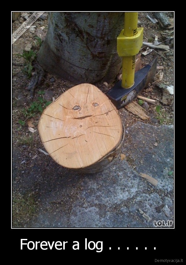 Forever a log . . . . . .  
