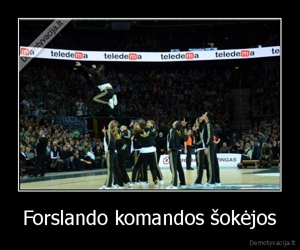 kaunas, zalgiris, zalia, kurva, forslandas, adidas