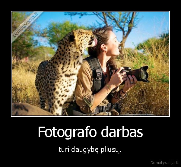 fotografas,darbas,gepardas