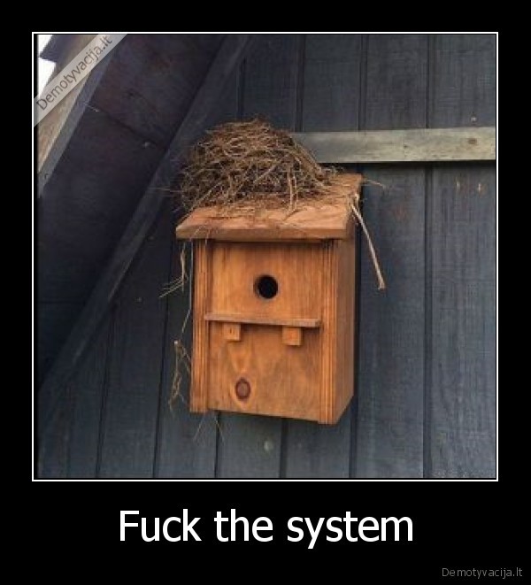 Fuck the system