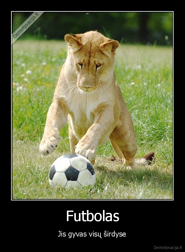 Futbolas