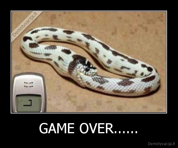 GAME OVER......