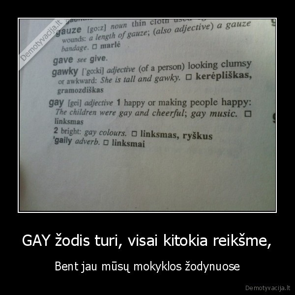 gay,mokykla,gejus,reiksme