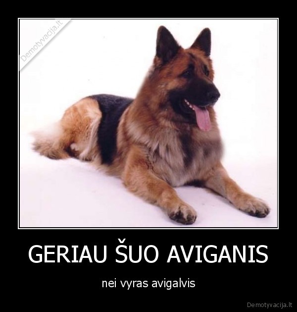 GERIAU ŠUO AVIGANIS