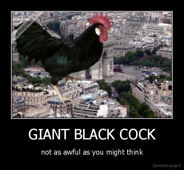 GIANT BLACK COCK