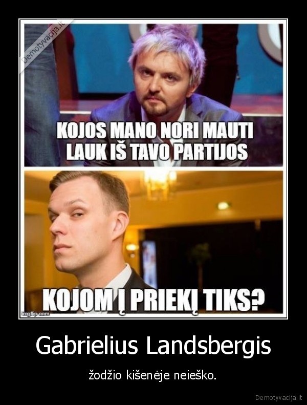 gabrielius,landsbergis,stano,konservatoriai