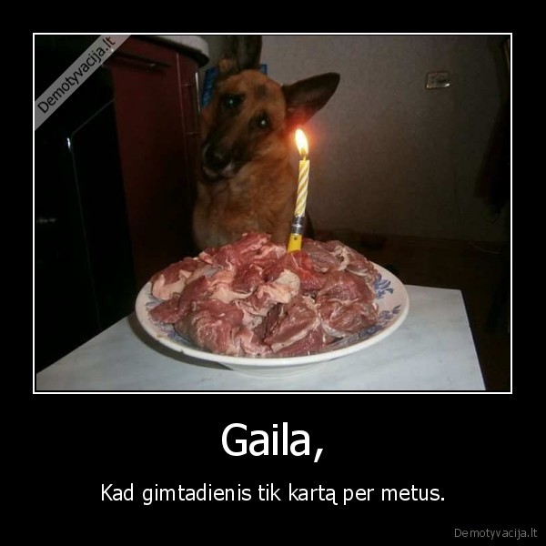 Gaila,