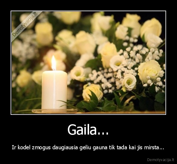 mirtis,geles,karstas,laidotuves